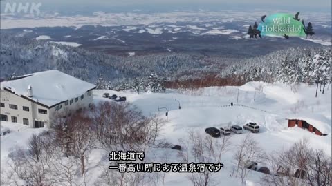 Wild Hokkaido！ 十勝岳 雪道サイクリング登山