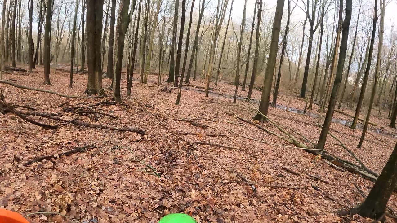 Raw Training on the 87 KDX