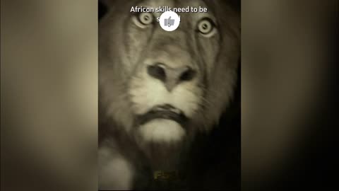 African Styles Need to Be Studied 😂🔥