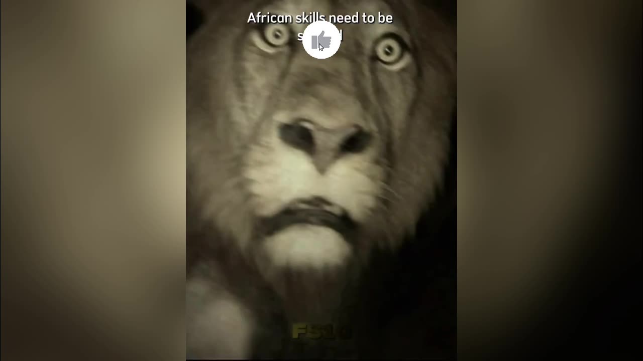 African Styles Need to Be Studied 😂🔥