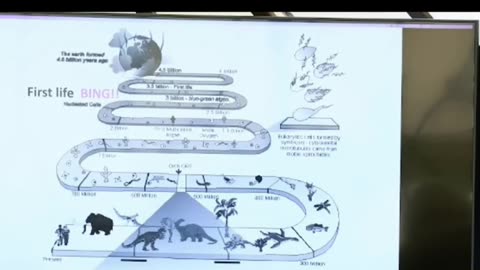 When Did Consciousness 'Bing' Occur on Earth? #shorts