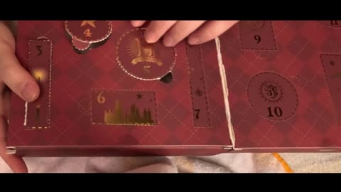 2025 Profusion Cosmetics Harry Potter count down calendar door #6