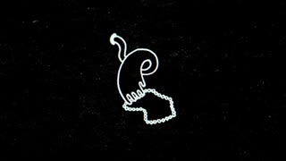 Surf Rock is Dead - Immaculate