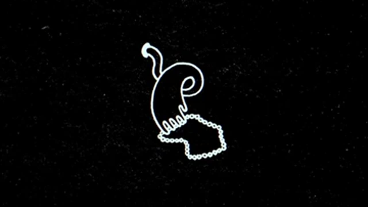Surf Rock is Dead - Immaculate