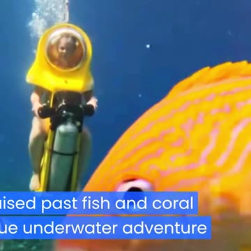 things only white people can do