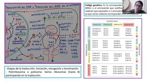 ADC SEMIANUAL 2023 | Semana 05 | Biología S2