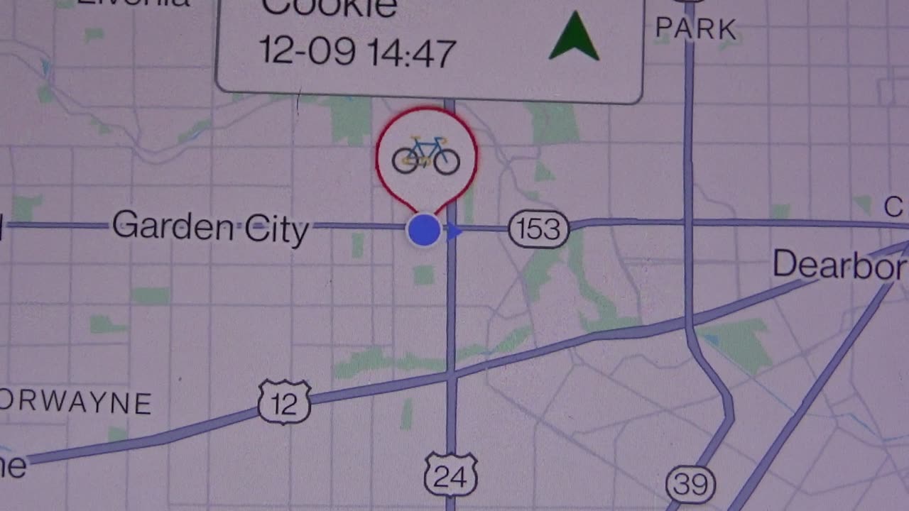 Smart GPS Tracker for Dogs/Mini Easy To Use Cat GPS Tracker, Dearborn, Michigan, 12/9/25