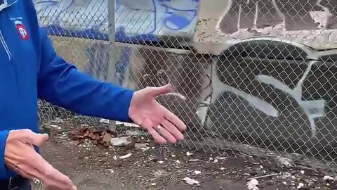George Soros funded Philadelphia District Attorney is no longer prosecuting illegal dumping 