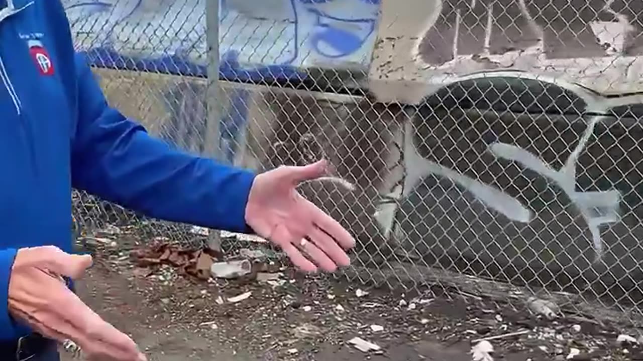 George Soros funded Philadelphia District Attorney is no longer prosecuting illegal dumping