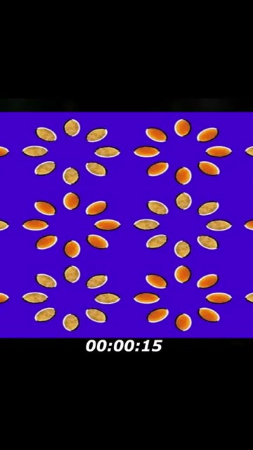 Optical illusion puzzle: The seeds keep spinning, if you keep looking at it