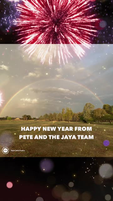 Happy New Year - Have an Awesome Year Powerful Beings 🙌 Pete