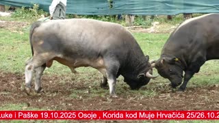 BiH i HR koride 2025