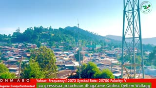 Oduu Waaree ONM-ABO Sadaasa 10-2025 itti dhiyaadhaa!