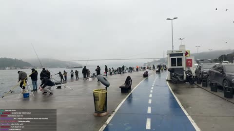 KAVHALTI ÜSTÜ YÜRÜYÜŞ IRL @BishamonnSama | !blerp !youtube