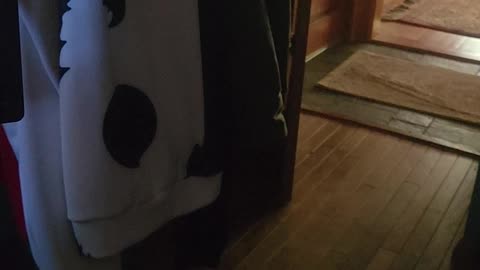 Treat Dogs Kindly