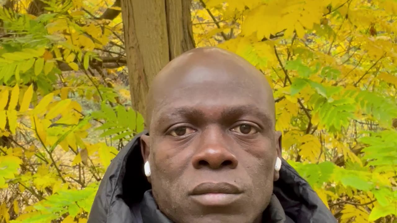 I don't know who needs to hear this, but to win, you have to plan to never give up