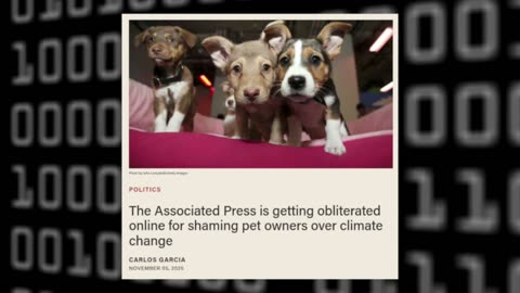 Associated Press is Now Shaming Pet Owners Over Climate Change