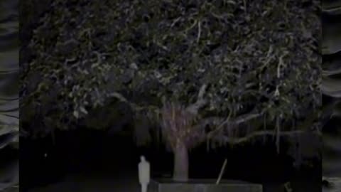 😱👻 The Scariest Paranormal Encounter Caught on Camera! Creepy Paranormal Videos | TheHauntingHour