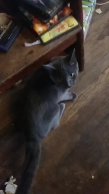 Windigo discovers dressers