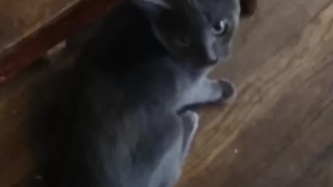 Windigo discovers dressers