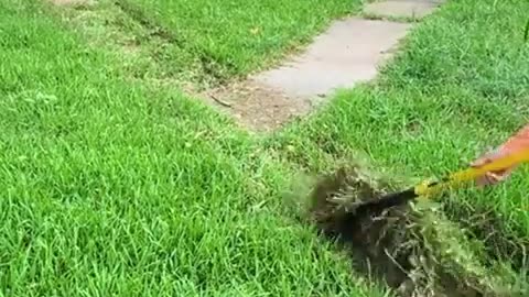 😤🌿 City Won't Let Hero Help Elderly Woman! | FunFM
