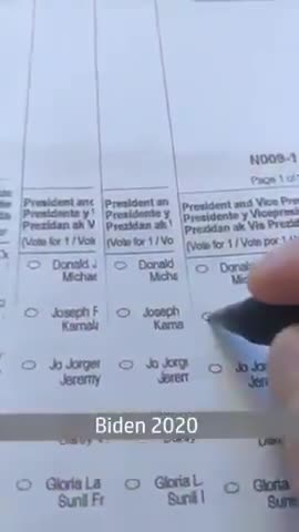 California Man rcv's 11 ballots, votes them all for Biden