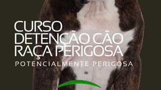 Curso Detenção Cães raça perigosa Ou Potencialmente Perigosos
