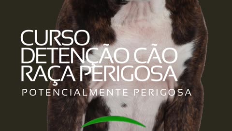 Curso Detenção Cães raça perigosa Ou Potencialmente Perigosos