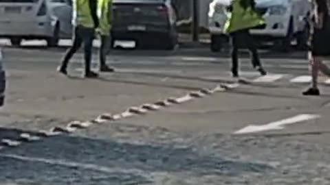 RIÑA CUIDADORES DE AUTO