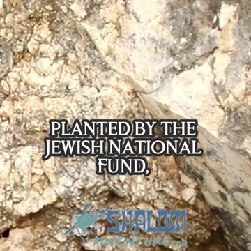 What Makes Gideon Spring a Must-See in Israel