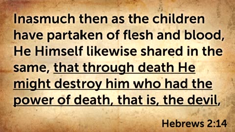 Let's Rejoice In the Mercy of Jesus' Incarnation - Message Only