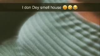 @kemmy800
