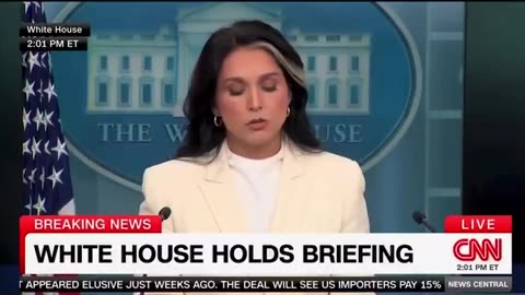 CNN cuts off @DNIGabbard as she tells the world that Barack Hussein Obama attempted...