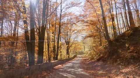 Relaxing piano, Autumn Foliage