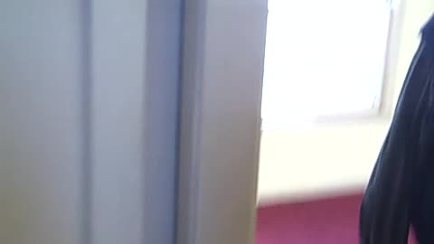 BUFFALO PROPERTY CHEAP PROPERTY IN DETROIT