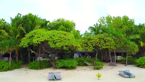 Light Symphony for Everyday Focus