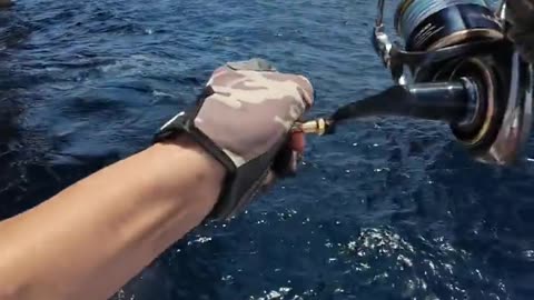 Fishing in Bunker