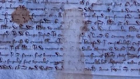 Magna Carta Conservation Treatment