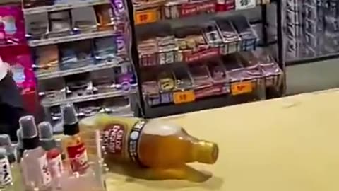 LET'S HAVE SOME FUN SNAKE PRANK