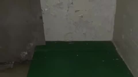 🏰👻 The Ghosts Of Dorchester’s Dark Past- The Bannisters | TheHauntingHour