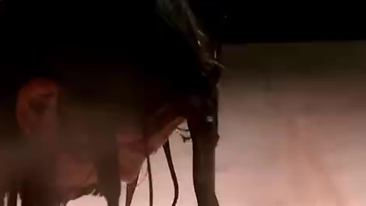 Foo Fighters - The Pretender