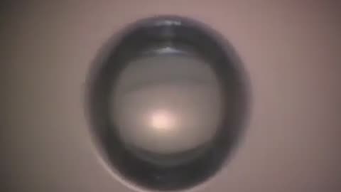✨🌊 Scientists Create Light by Collapsing Underwater Bubbles! | FeedMyCuriosity