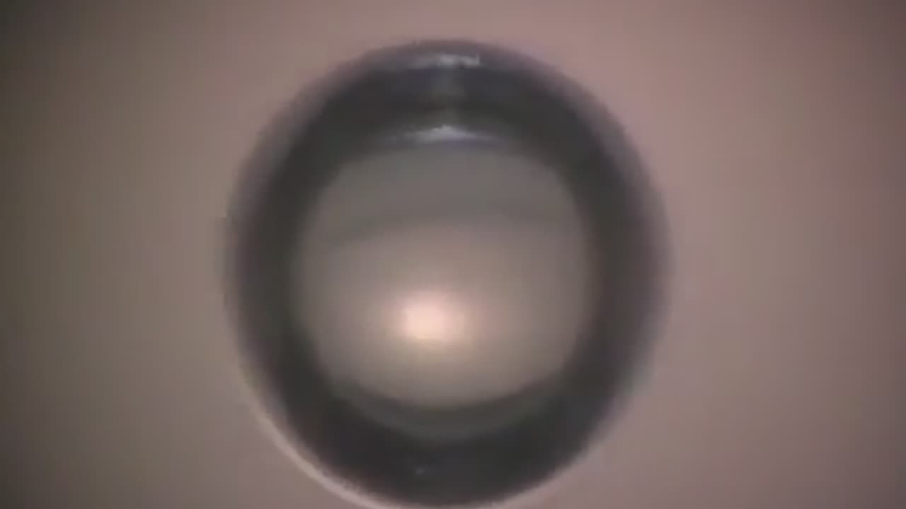 ✨🌊 Scientists Create Light by Collapsing Underwater Bubbles! | FeedMyCuriosity
