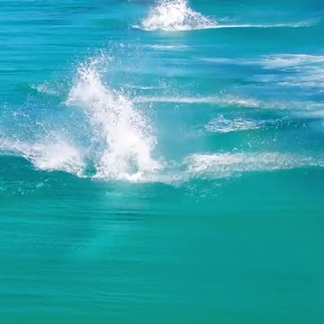 A leap of pure joy 🐬 🌈 #Shorts #Dolphin #Animals