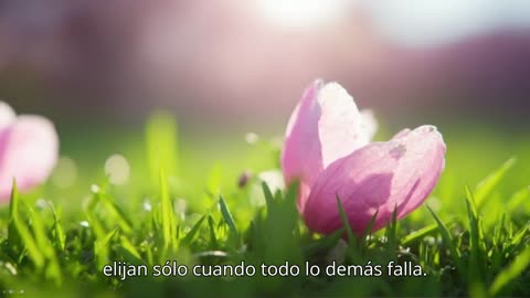 YO NO SOY TU BASURERO