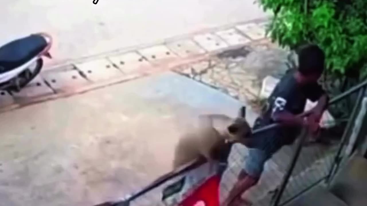 😂🚫 Sorry, But That's Definitely Outside My Jurisdiction! | FunFM