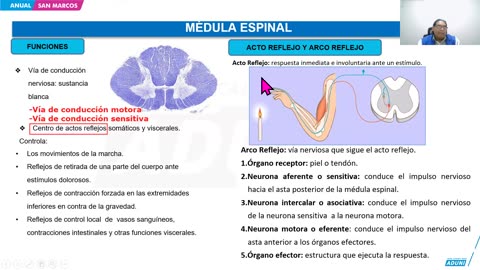 ANUAL ADUNI 2024 | Semana 32 | Biología | Física S1