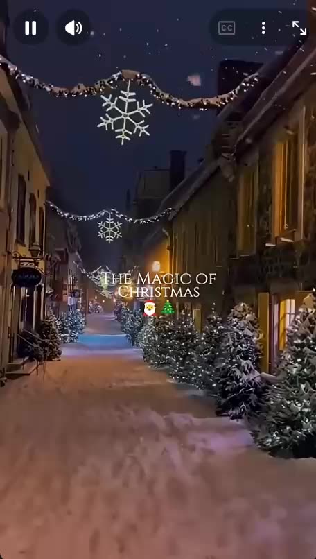 VERITAS VAULT 🎄 BEST X-MAS EVER 🎄 COMPOUNDING CRYPTO STAKING PROFITS 3X@DAY 🎄 TOP TEAM ROB BUSER