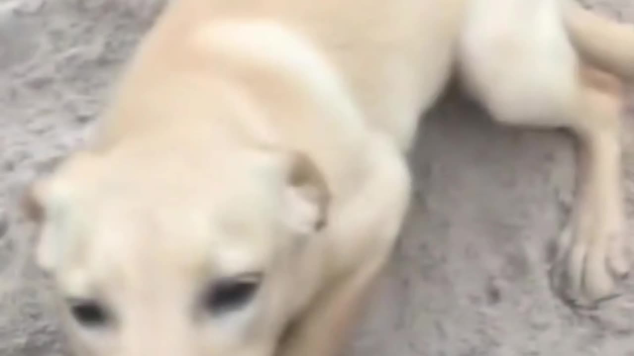 I'm here to play with you!