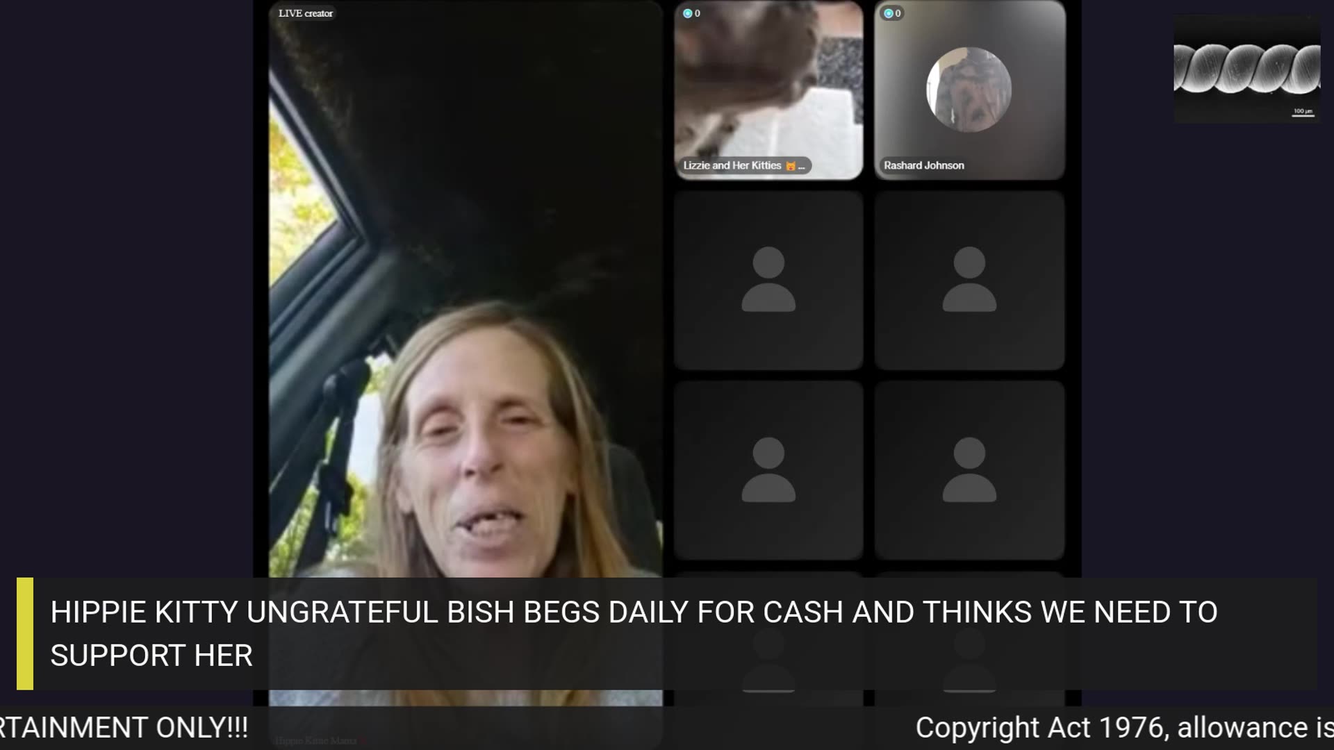 NEW SCAMMER HIPPIE KITTY FROM TIK TOK=LIVES IN A VAN WITH 5 CATS SHE USES FOR DONOS